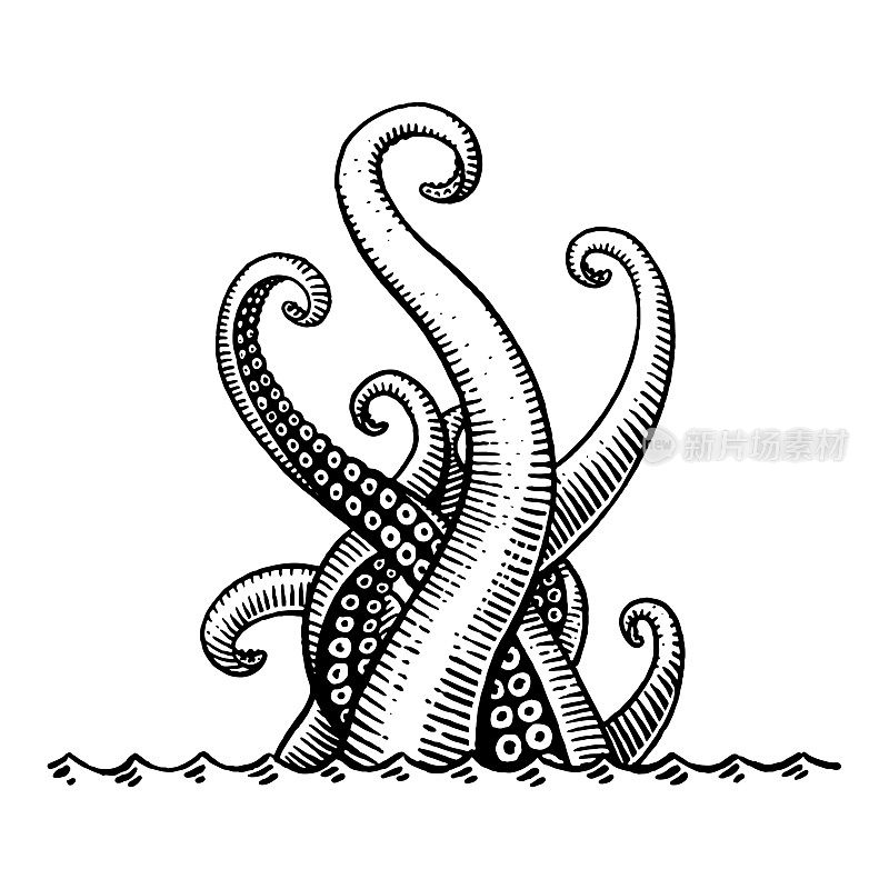 Vector drawing of a sea monster tentacles coming out of water
